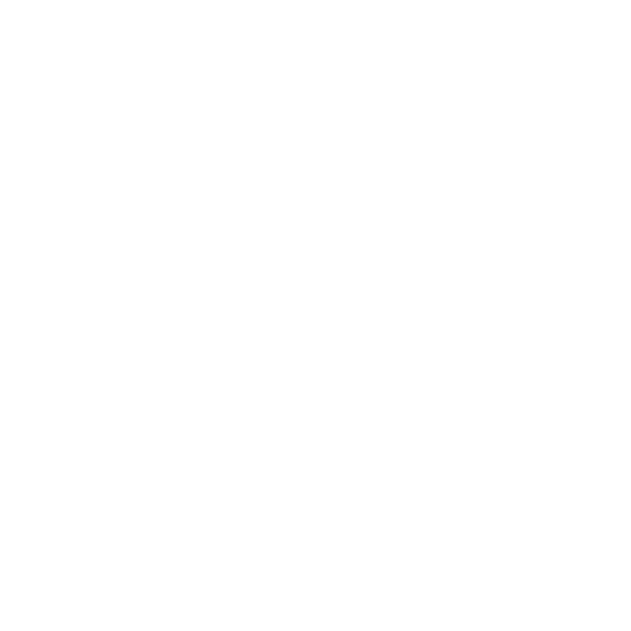 cv icon